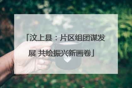 汶上县：片区组团谋发展 共绘振兴新画卷